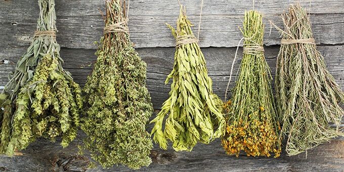 治疗肩关节的草药